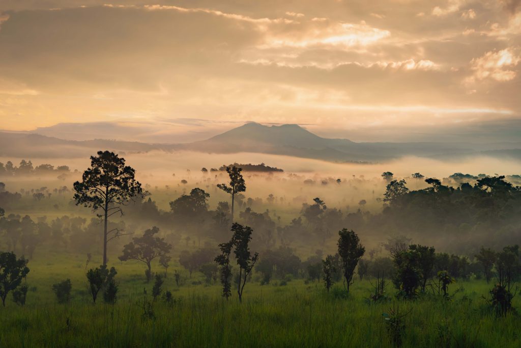 An Unforgettable Journey to the pearl of Africa | Uganda