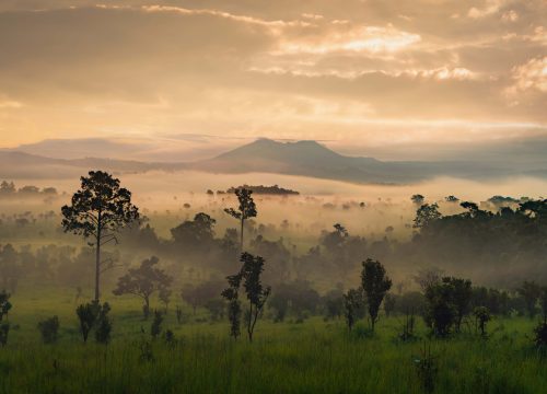 An Unforgettable Journey to the pearl of Africa | Uganda