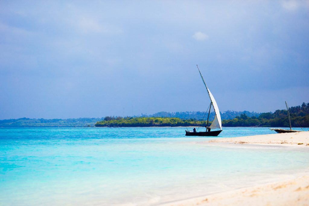 Safari Blue Tour in Zanzibar with Rajix Travel: Your Gateway to Paradise