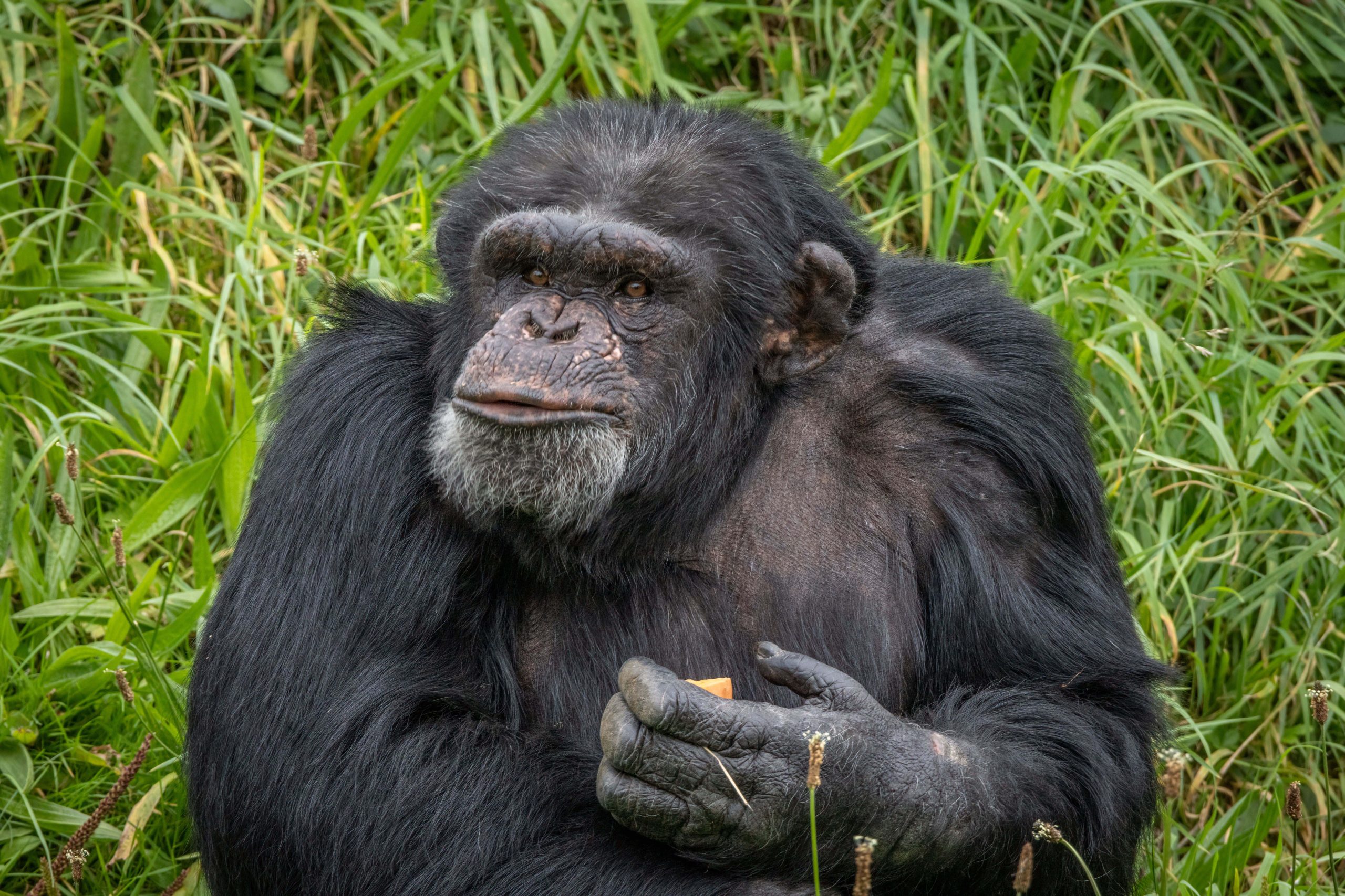 Mykonos and Santorini Tour