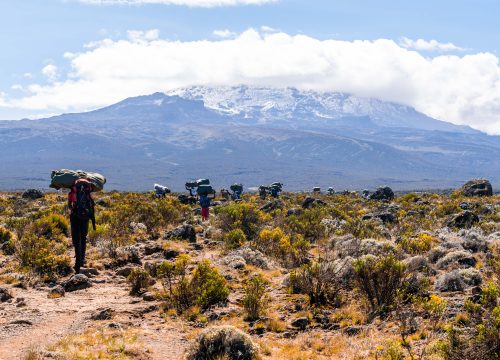 North Island Adventure Tour